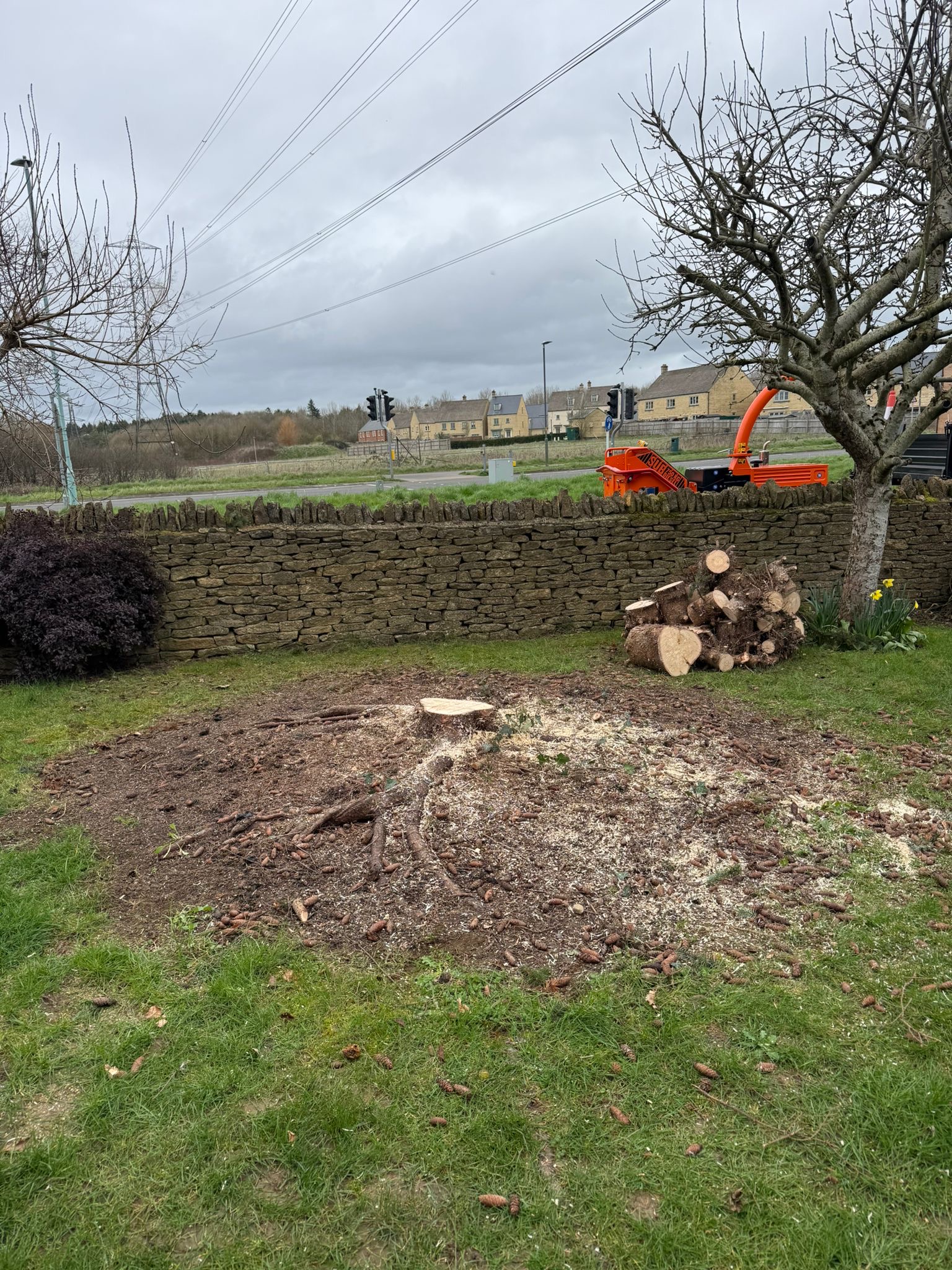 Alpines tree surgery project photo